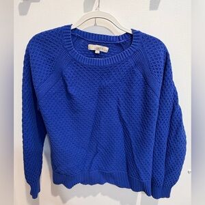 LOFT Women's Vibrant Royal Blue Knit Sweater XL Petite